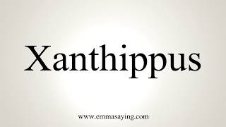 How To Pronounce Xanthippus [upl. by Backer]