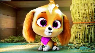 Skye Origin Scene  PAW PATROL THE MIGHTY MOVIE 2023 Movie CLIP HD [upl. by Beatriz]