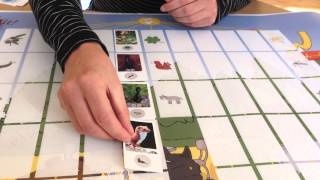 IM games  Biology board game BON APPETIT [upl. by Jecho404]