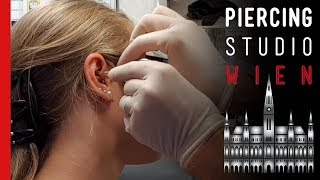 💉 Conch Piercing amp Antihelix Piercing 💉 Marcs Piercing TV [upl. by Neelyam705]