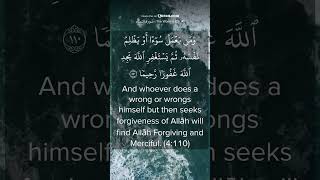 Allah SWT invites you to His Forgiveness and Mercy Quran 4110 [upl. by Nonnahsed290]