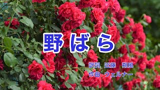 野ばら｜ウェルナー｜日本語歌詞｜ドイツ歌曲｜童はみたり 野なかの薔薇 [upl. by Weisburgh180]