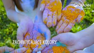 GEALANacrylcolor® – wyjątkowa powłoka okienna [upl. by Eleda643]