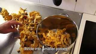 How to cook chanterelles Lets follow quotThe Chanterelle Kingquot [upl. by Greenes]