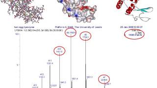 Mass spectrometry for proteomics  part one [upl. by Emmie]