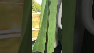 FlixBus from Cardiff to London Heathrow Airport [upl. by Jarietta112]