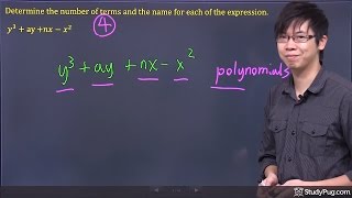 ʕ•ᴥ•ʔ What are Polynomials Explained [upl. by Anuahc]