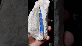 Opalized skeleton of the belemnite [upl. by Templer]