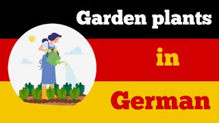 German words  garden plants in German [upl. by Keyes]