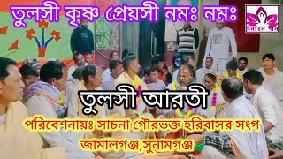 তুলসী আরতী।তুলসী কৃষ্ণ প্রেয়সী নমঃ নমঃ।Tulosi krishno priyosi nomo nomo [upl. by Yriek]