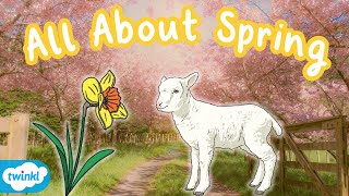 What is Spring  Signs of Spring for Kids [upl. by Atiuqihs]