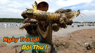 Quá Nhiều Tôm Tít Biển Lội Bắt Bủn Rủn Tay Chân  Gia Đình Cần Giờ 345 [upl. by Costin]