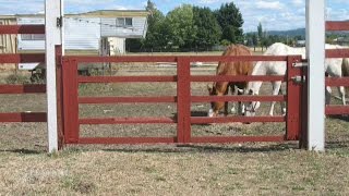 How to FIX A SAGGING GATE using CABLE and TURNBUCKLE [upl. by Charley584]