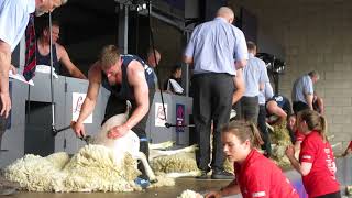 Royal Highland Show 2019 Sheep Shearing Scottish National [upl. by Kaliski]