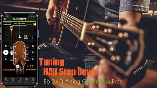 Guitar Tuning  Half Step Down  Eb Or D using GuitarTuna free [upl. by Ontina485]