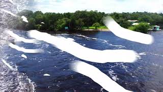 Scallop Season 2021  Homosassa River Fl [upl. by Attenehs658]