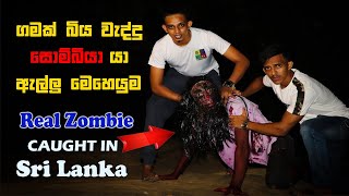 ගමක් බිය වැද්දු සොම්බියා ඇල්ලු මෙහෙයුම  Real Zombie Caught in Sri Lanka  zombie  varna tv [upl. by Casady]