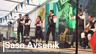 Saso Avsenik  Slowenien mein Heimatland [upl. by Nnylacissej]