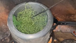 villagevlog mami le gauko organic sisnu makei chamal ko bhat banaudei 🥰 [upl. by Kcinimod]