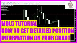 MQL5 Tutorial Basics  How to get detailed position information for open positions [upl. by Michelsen157]