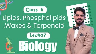 Lipids Phospholipids Waxes amp Terpenoid  Biological Molecules  Biology Class 11  Part 3 [upl. by Nyre]