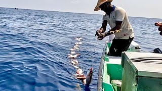 Deep Sea Fishing for Rosy Snapper [upl. by Cathyleen842]