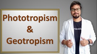 Phototropism and geotropism in hindi [upl. by Badr]