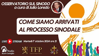 Come siamo arrivati al processo sinodale [upl. by Anelyak126]