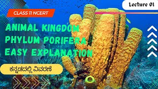 Animal KingdomPhylum porifera explained in kannada [upl. by Barbur553]