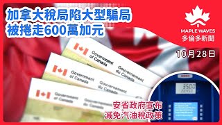 【10月28日 多倫多新聞】 加拿大稅局陷大型騙局 被捲走600萬加元  安省政府宣布減免汽油稅政策延至明年六月 加拿大食物銀行使用者創新高、近兩成使用者有穩定工作 [upl. by Neahs]