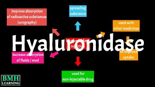 What Is Hyaluronidase  Hyaluronidase Injection  Hyaluronidase Medical Uses [upl. by Eednar]