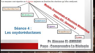 Séance 4vidéo 1  Classification des enzymes  Les oxydoréductases [upl. by Yattirb]