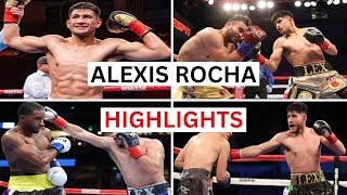 Alexis Rocha 221 Knockouts amp Highlights [upl. by Hoo]