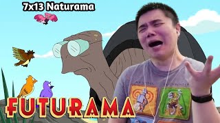 Animal Kingdom Futurama Season 7 Episode 13 Naturama Reaction [upl. by Amlus710]