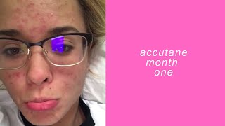 accutane month one  aspenlikeatree [upl. by Ardnalac576]