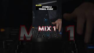 Mix1 KYBBA x TRIBAL KUSH 2024  The Best Hits 2024🔥 dancehall 001 afrobeat moombahton mix [upl. by Niwle653]