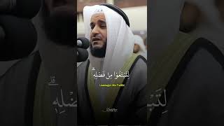 Beautiful Quran Recitation [upl. by Mariko307]