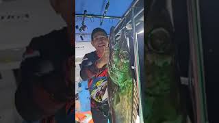 Ikan Layur Raksasa shortvideo fishing [upl. by Stila]