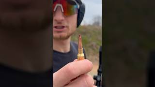 65 Creedmoor Stopping Power Test firearms 308 gun [upl. by Ethel]