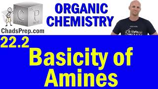 222 Basicity of Amines  Organic Chemistry [upl. by Hux169]