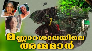 മണ്ണാറശാലയിലെ അമ്മമാർ Mannarasala Temple mannarasala satwikam devotional hindupilgrimage hindu [upl. by Ahseuqal]