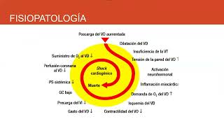 TROMBOEMBOLISMO PULMONAR cardio [upl. by Merilee]