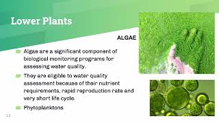 ES LECTURE 13 Bioindicators of Pollution [upl. by Clayson]