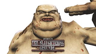 DXFan619 Plays  The Slaughtering Grounds Worst FPS Ive Ever Played [upl. by Gardia]