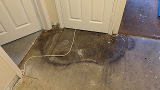 WhatTheTweed Day 26  leak found with lots of floor damage carpets being removed bedrooms prepped [upl. by Nadabus]