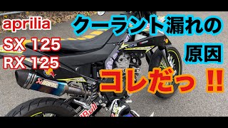 aprilia SX 125 クーラント漏れの原因が判明‼ aprilia sx125 モトブログ [upl. by Nais94]