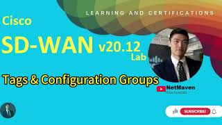 1 Cisco SDWAN v2012 Lab  Tags and Configuration Groups [upl. by Schreib]