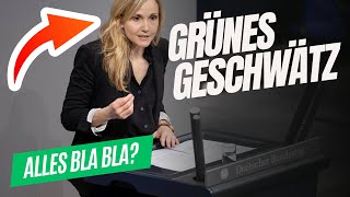 Was soll denn dieses Geschwätz  Dr Franziska KrumwiedeSteiner B90Grüne [upl. by Si744]