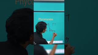 Phycomycetes example trick by Ranveer sir shorts [upl. by Eerok]