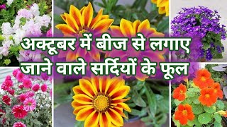 सर्दियों के कौनसे फूलों के बीज इस समय लगा सकते हैं Winter Flowering Plant Grow by Seeds [upl. by Plantagenet]